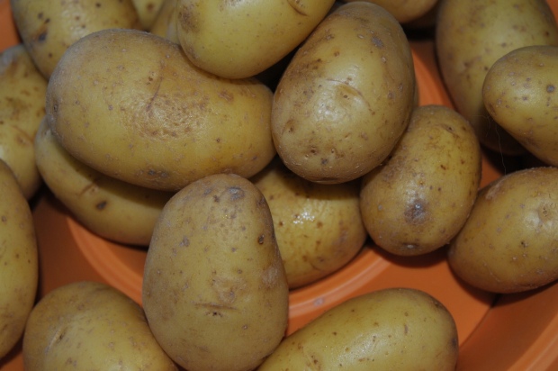 Potatis (62/365)